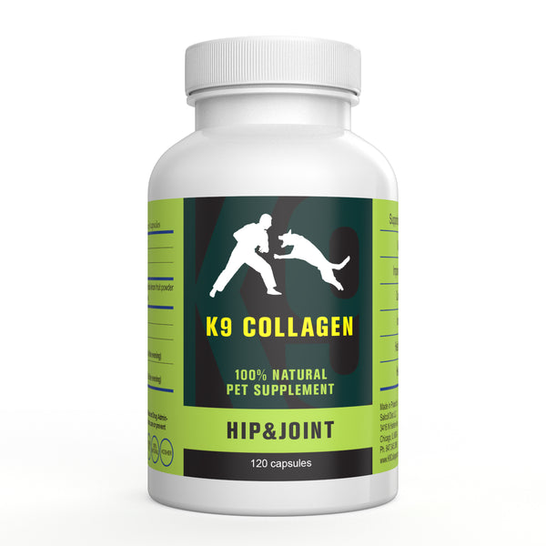 How Does K9 Collagen Hip and Joint Supplement Work As Joint Meds For Dogs?